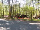 Another photo of the wooded subdivision.