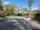 Picture of tree-lined street in Camden Place.
