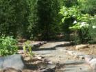 Trail in Mill Pond.