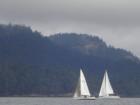 Salish Sea just south of Salt Spring Island BC http://www.escapetosaltspring.com