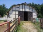 BHR has an eight (8) stall barn available to members of the association.  Check with the chair of the Equestrian Committee for stall availability and operating guidelines.
      