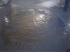 The Missouri State Seal on the floor of the State Capital Building
