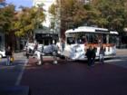 A horse-drawn trolly downtown.