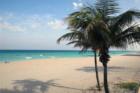 Trump Hollywoods Beach View