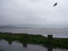 Crescent City bay and harbor during a storm