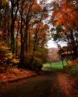 A scenic drive down Whipporwill Valley Road, Middletown, NJ
      (C) 07 Jane E Haas