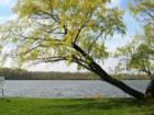 Tampier Lake in Orland Park