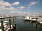 A beautiful day at Atlantic Highlands Marina
      (C) 07 Jane E Haas