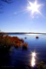 View of the Navesink River from Browns Dock Road (Hartshorne).
      (C) 07 Jane E Haas