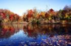 A typical Autumn view from Browns Dock Road, Navesink, NJ
      (C) 07 Jane E Haas