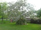 3000 Longleaf, College Station