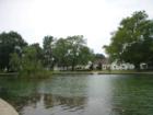 Linden pond