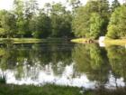 Small lake at the corner of Research Forest & Cochran's Crossing.