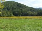 ASHEVILLE, N.C. Spring Meadow. Western North Carolina property is beautiful at any time of the year. Here is proof. Come visit.