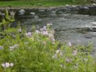 The Lackawaxen River - a sparkling jewel running through the heart of Pike County.