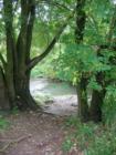 Etobicoke Creek in Brampton