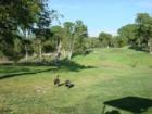 Woodcreek Golf Club, 18 holes with friendly staff.