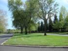 Roseville Parkway