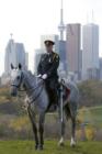 Staff Inspector Bill Wardle, Unit Commander of the Mounted and Canine units (Toronto Police) against a backdrop of the beautiful Toronto skyline (credit Anne de Haas, photographer)