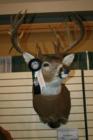 Boone County Archery Buck.  2007 Iowa Deer Classic