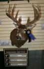 Fremont County Buck.  2006 Muzzleloader Season.  2007 Iowa Deer Classic