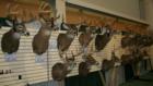 The Iowa Deer Classic is the greatest whitetail show on earth.  Some of the greatest deer are on display with each years harvest.  Here are a few of them.