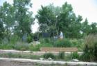 Butterfly Garden at Lake Katherine