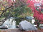 Fall foliage in Palos Heights