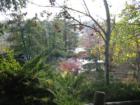 View of a Palos Heights forest