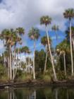 Near Weeki Wachee River