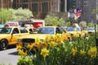 Taxis in midtown Manhattan