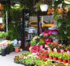 The Flower District, Manhattan