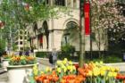 Fifth Avenue in Manhattan
