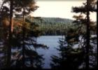 Overlooking Portage Lake in Aroostook County Maine!