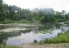 Stoney Creek in Oak Lawn
