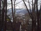 Beautiful Wooded view from mountain top in Cumberland