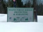Forestry Department
