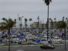 The Oceanside marina