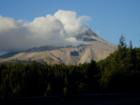 Mt. Hood in the Summer