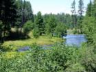 Head of the Metolius