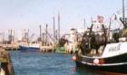 Fishing fleet at Galilee