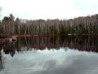 No waves, mirror glass early morning shine to Cochran Lake in New Limerick!