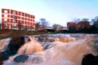 Reedy River