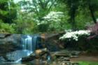 Rock Quarry Falls
