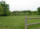 Field and pond near the Children's Farm in Palos Park
