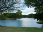 Just one of many beautiful views of the pond @ Mulholland