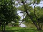 Just one of many beautiful views of the pond @ Mulholland