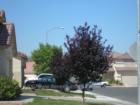 Azure Estates is located in North Las Vegas
