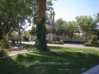 Desert Shores is a beautiful community featuring a beach club, three lakes and tree lined streets.  Lush living in the desert!  It is not rare to see a duck or a swan hanging around!