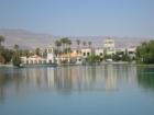 Desert Shores is a beautiful community featuring a beach club, three lakes and tree lined streets.  Lush living in the desert!  It is not rare to see a duck or a swan hanging around!